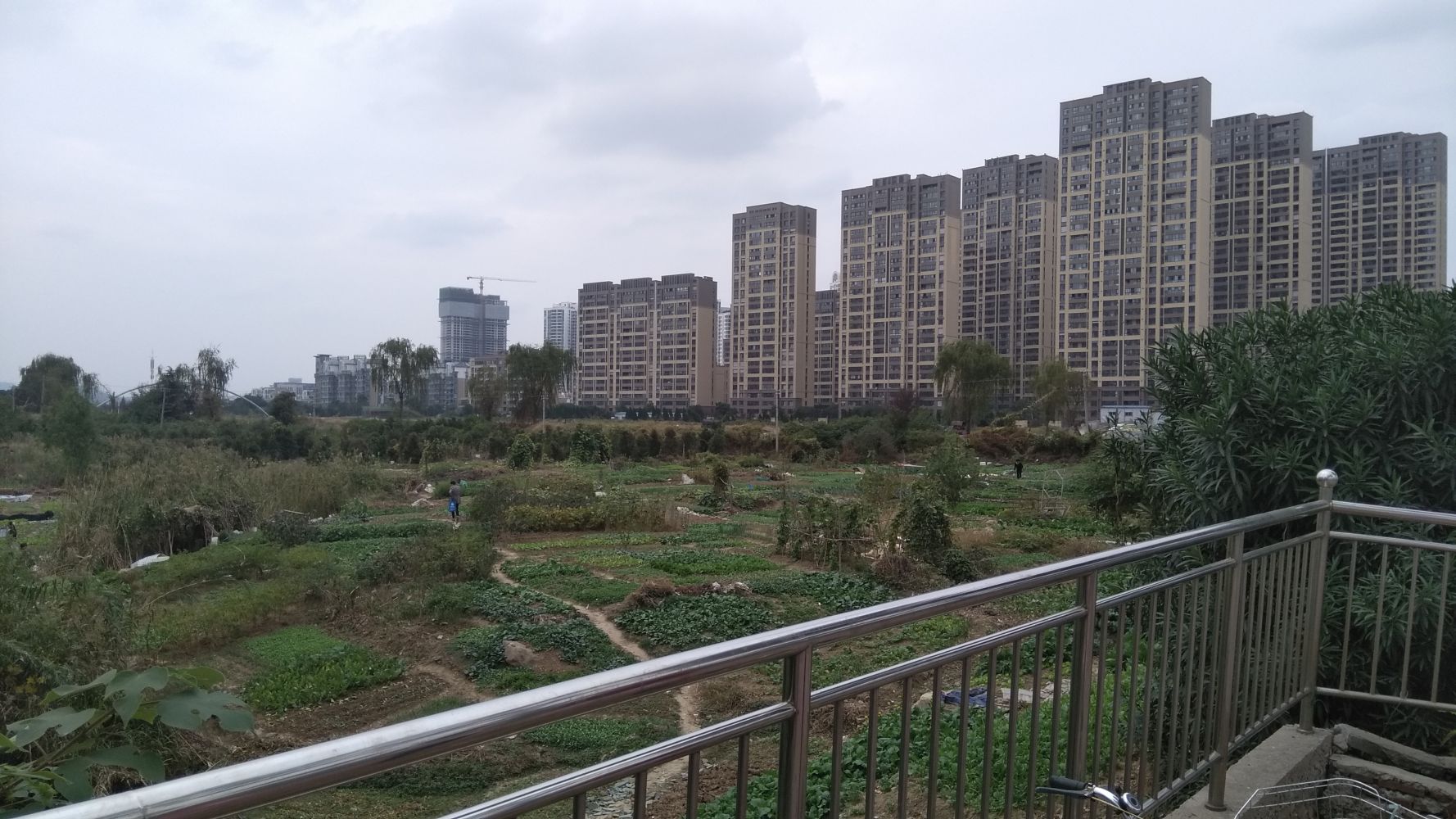 Some allotments visible nearby