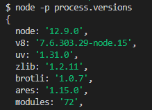 A screenshot of my node process versions