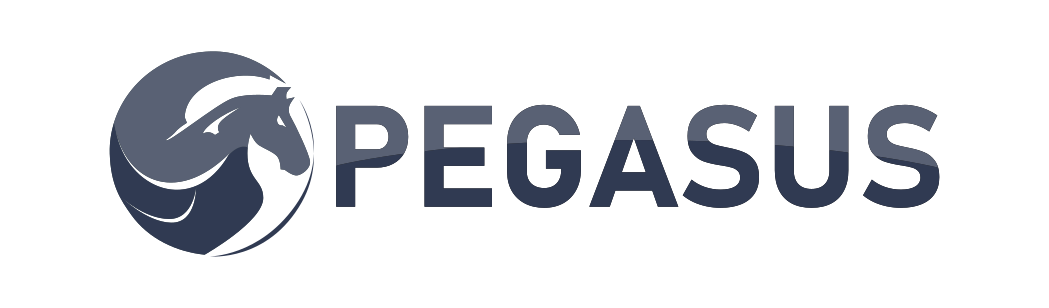 Pegasus team logo